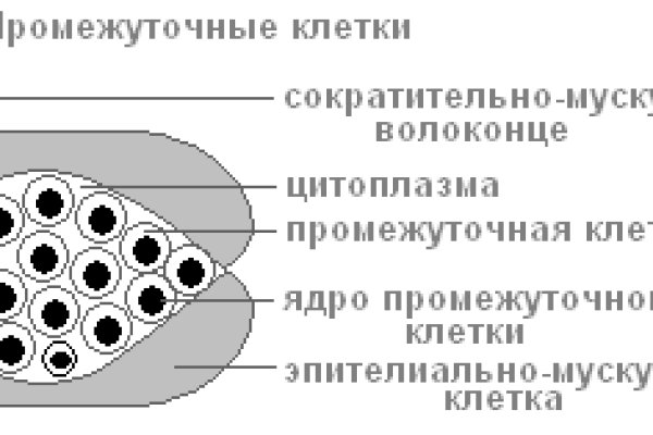 Что такое кракен площадка