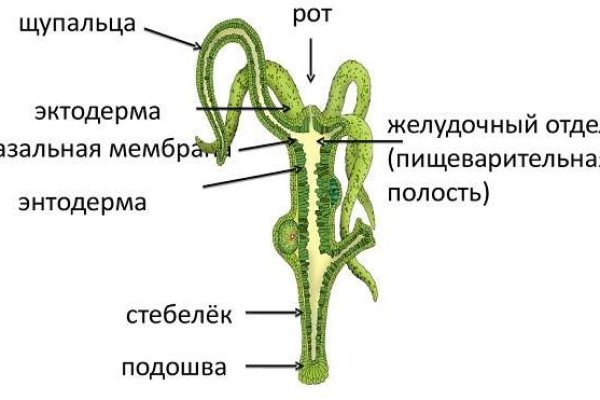 Где взять ссылку на кракен kraken014 com